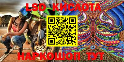 стафф Будённовск