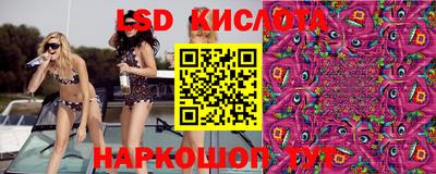 стафф Будённовск