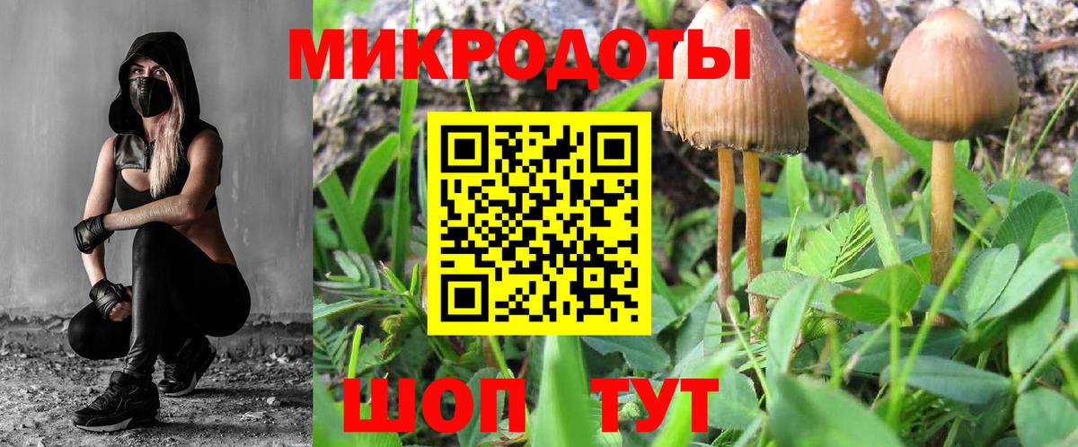Галлюциногенные грибы MAGIC MUSHROOMS Салехард